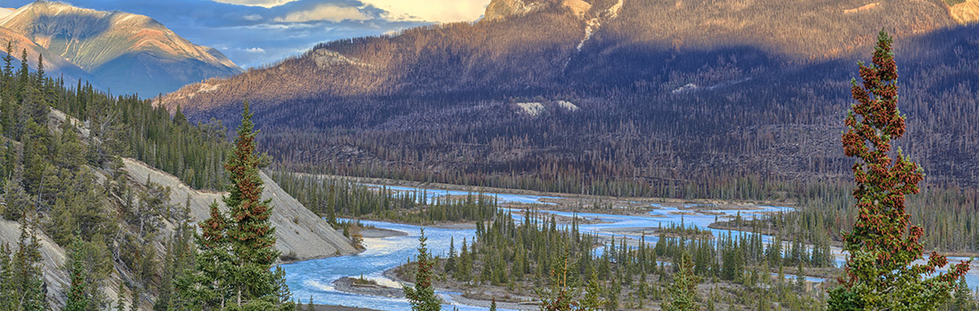 Province-Saskatchewan-header